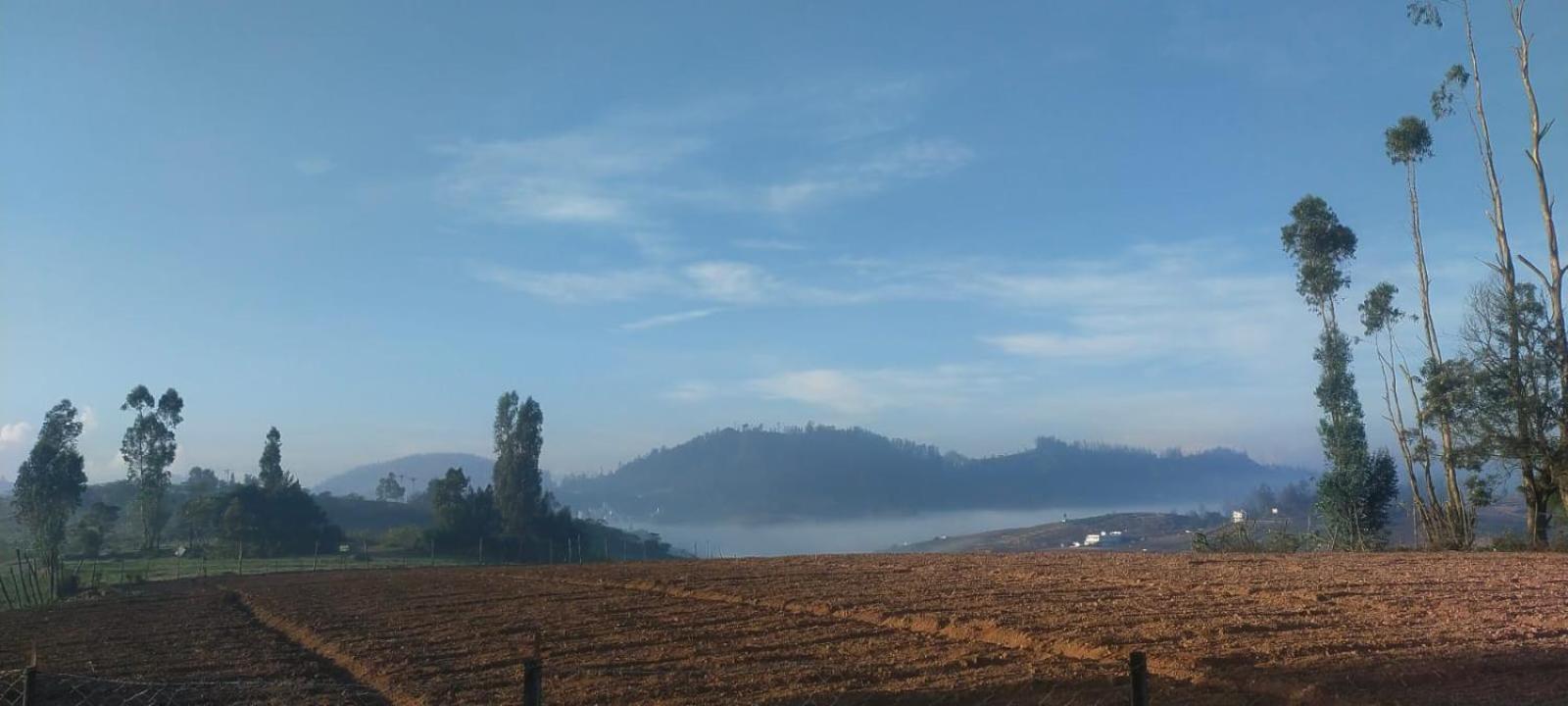 Britiish county ooty