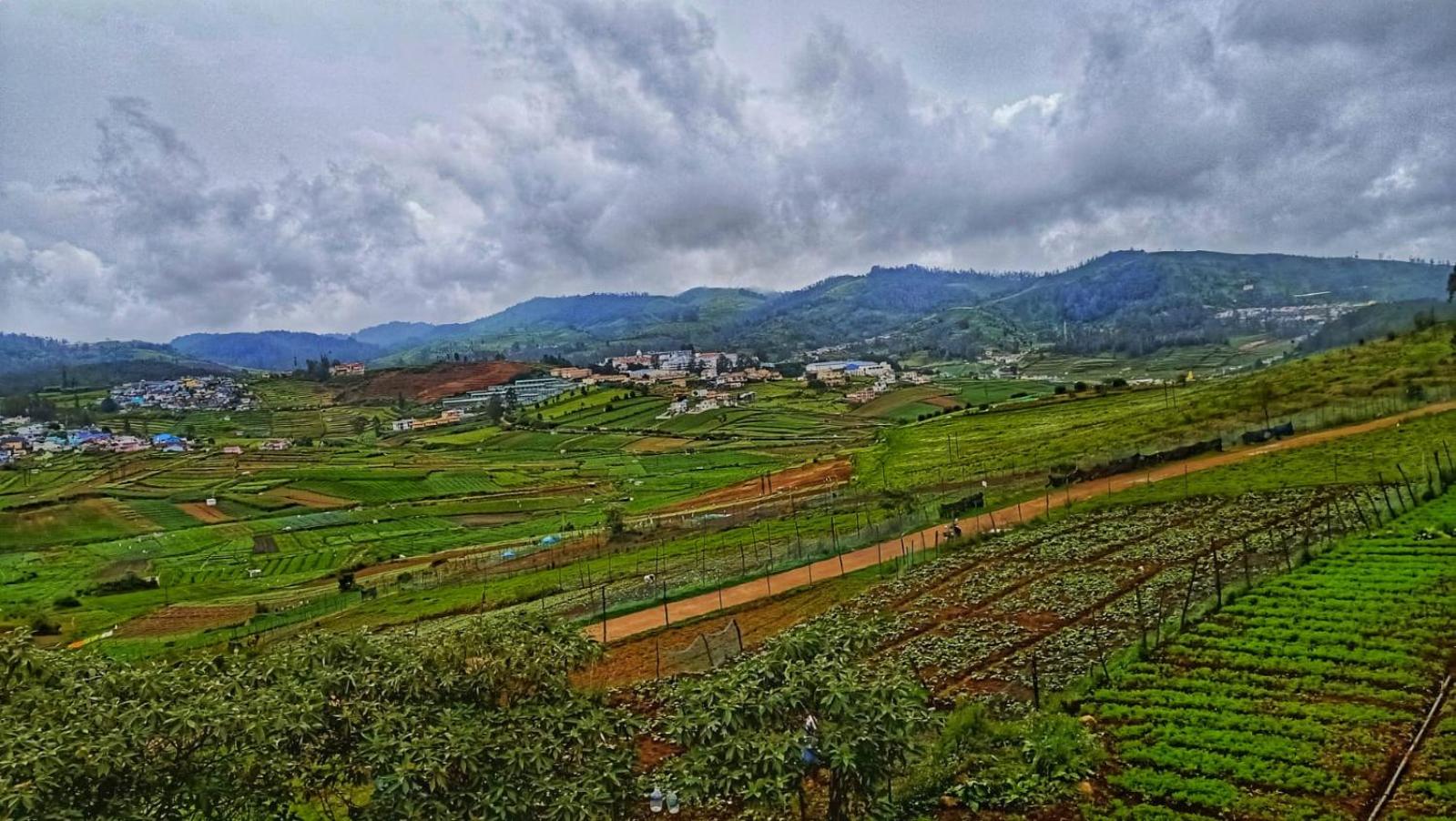 Britiish county ooty