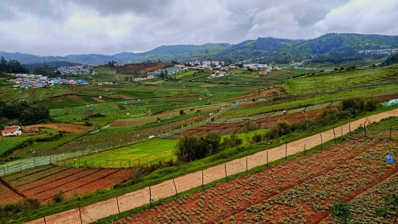 Britiish county ooty