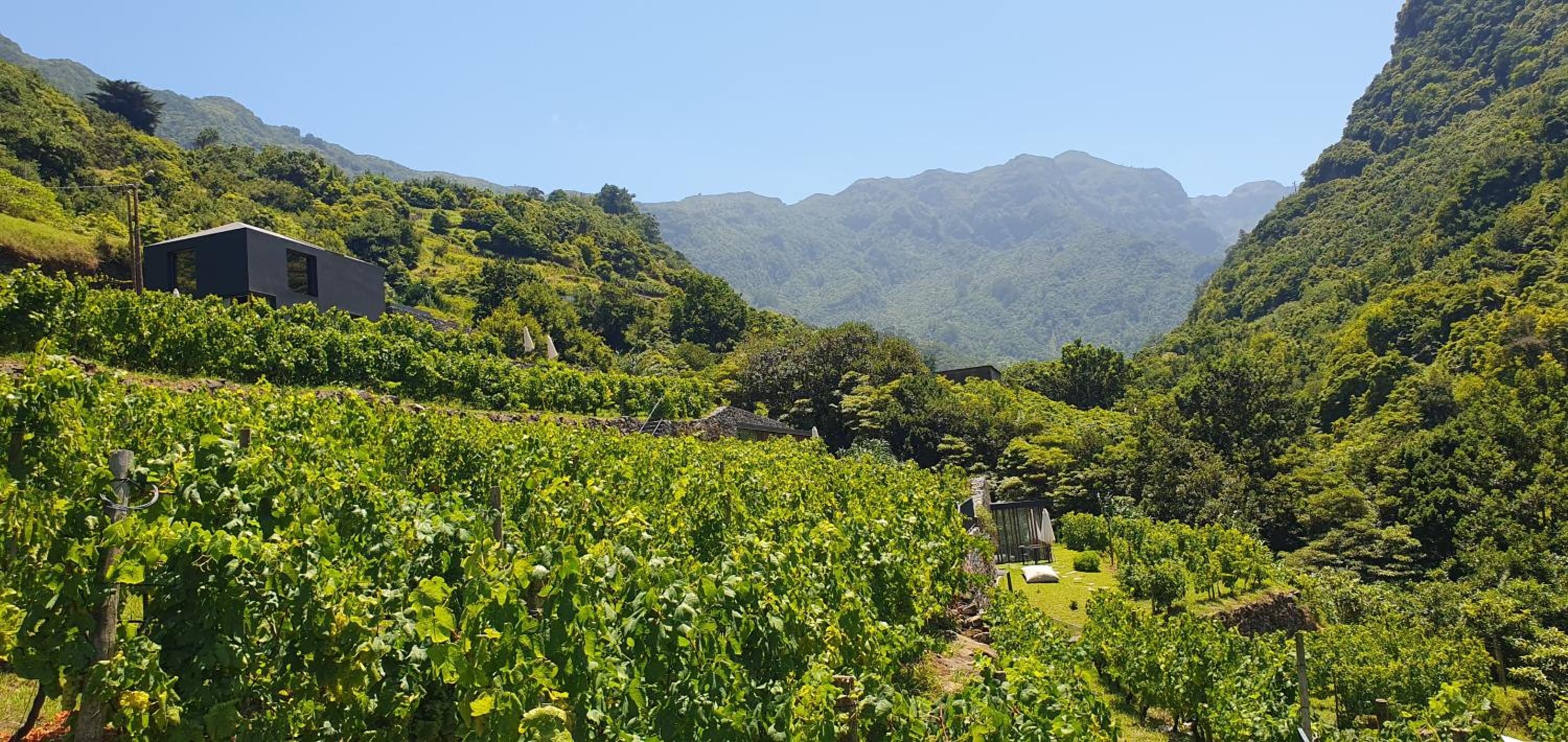 Terrabona Nature & Vineyards view 4