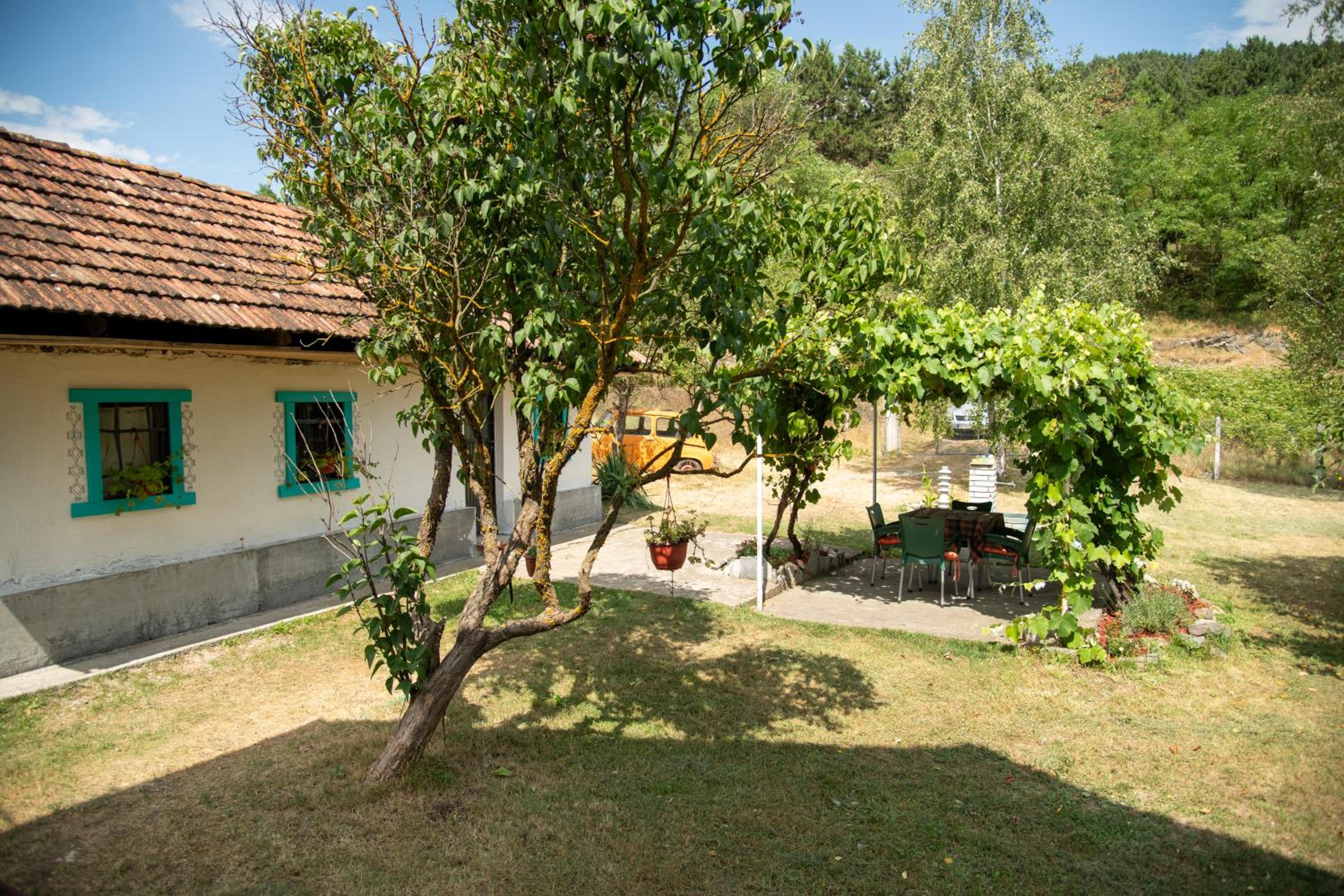 Photo 25