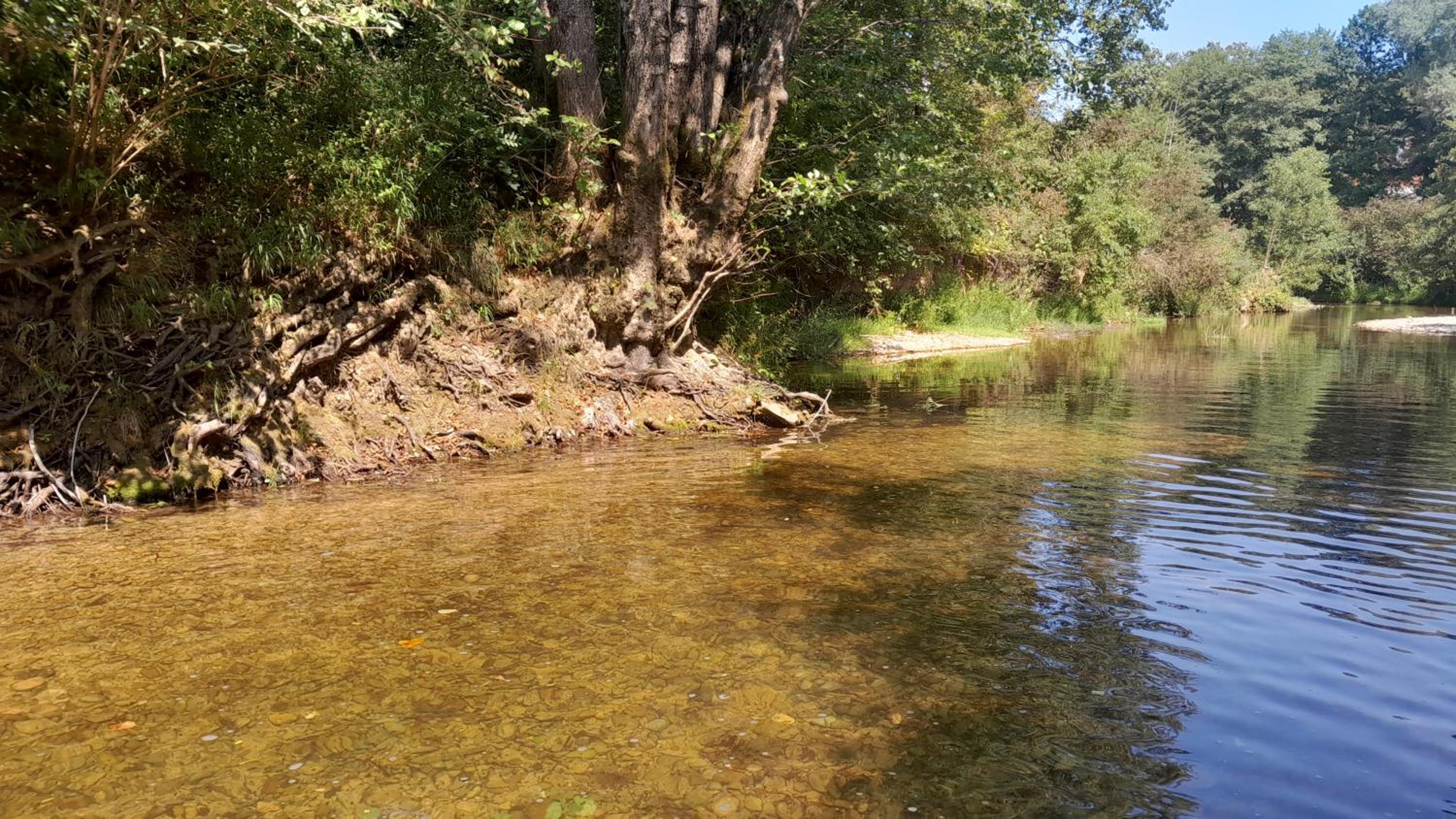 River house - Riječna idila
