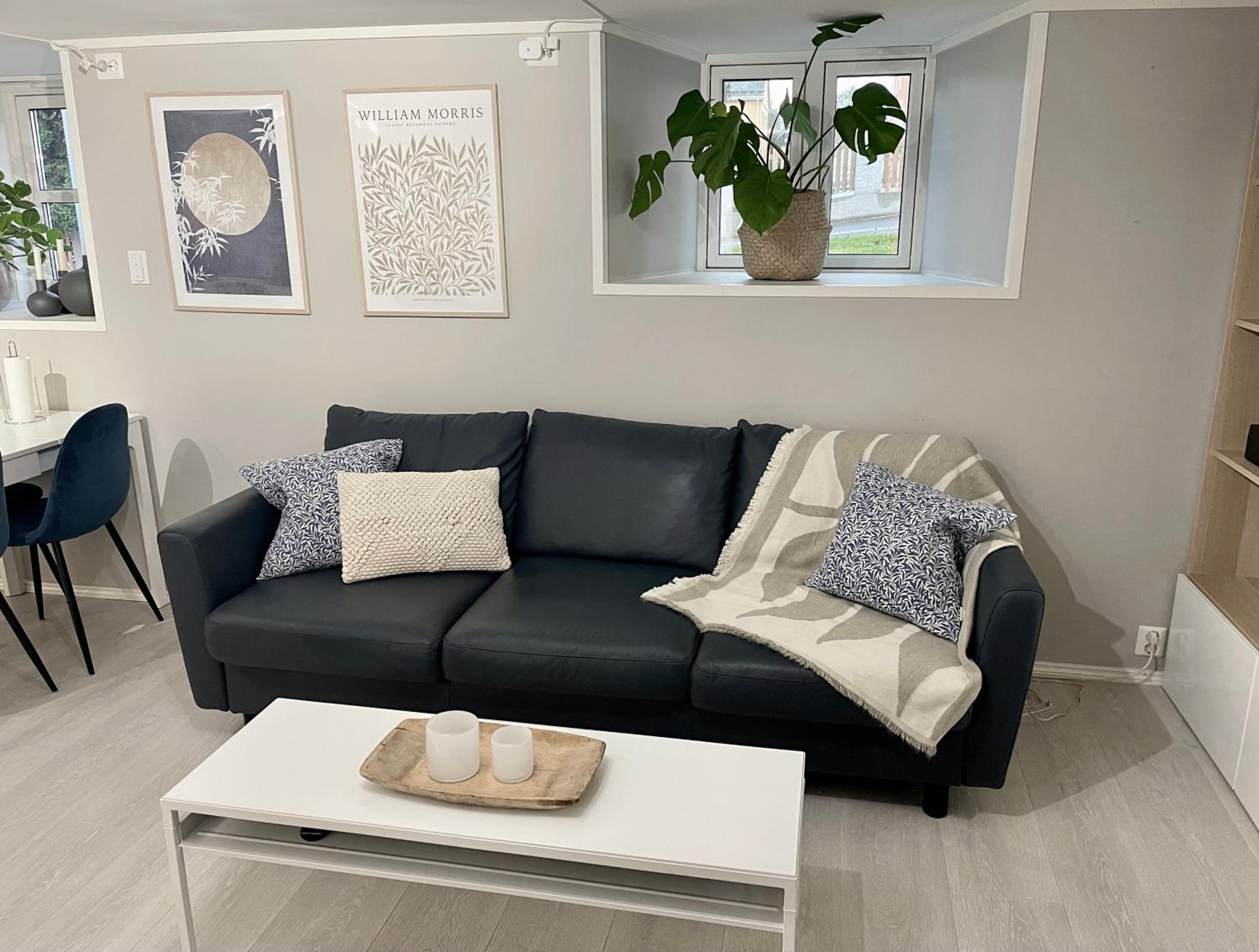 One bedroom basement apartment in the city