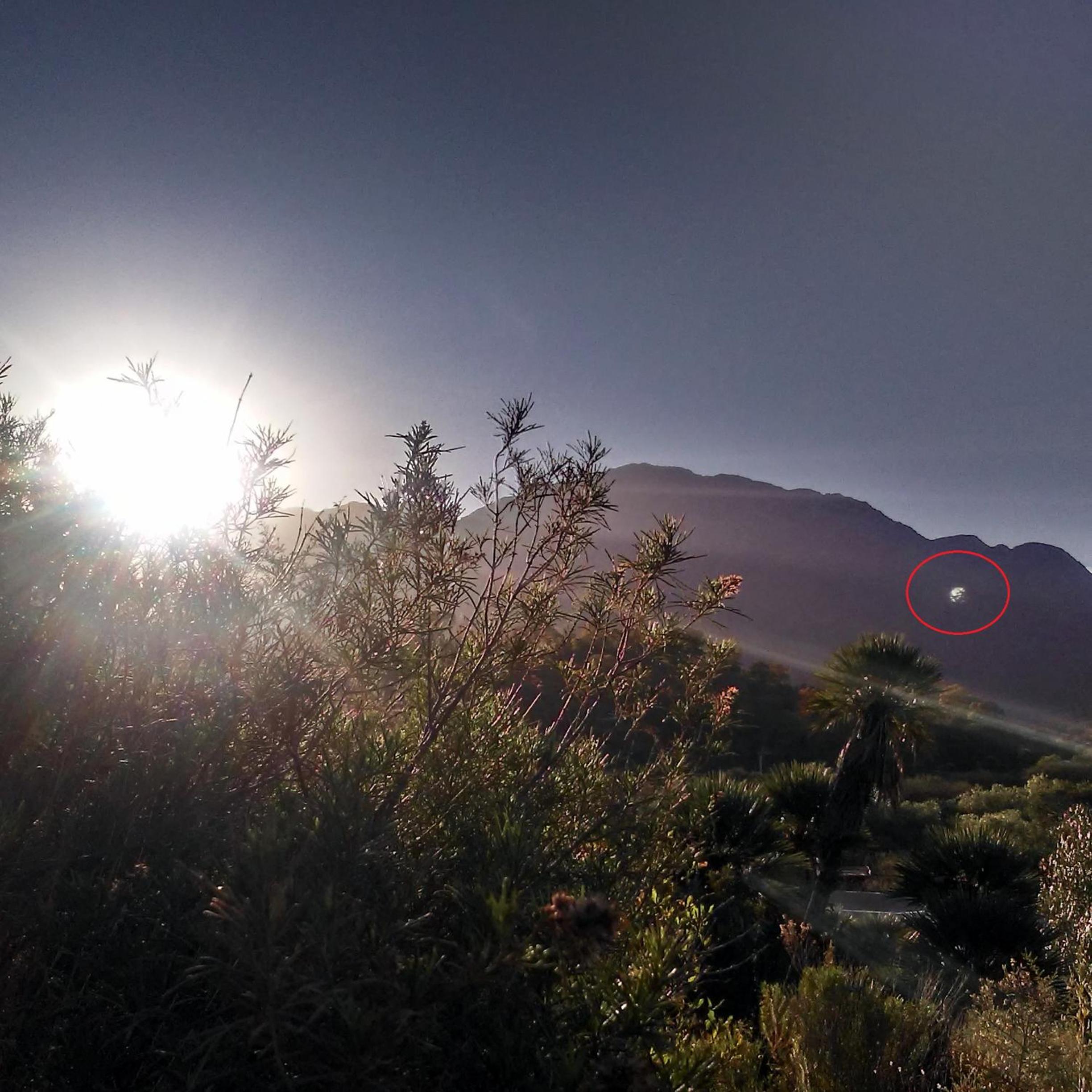 Palmares al cerro