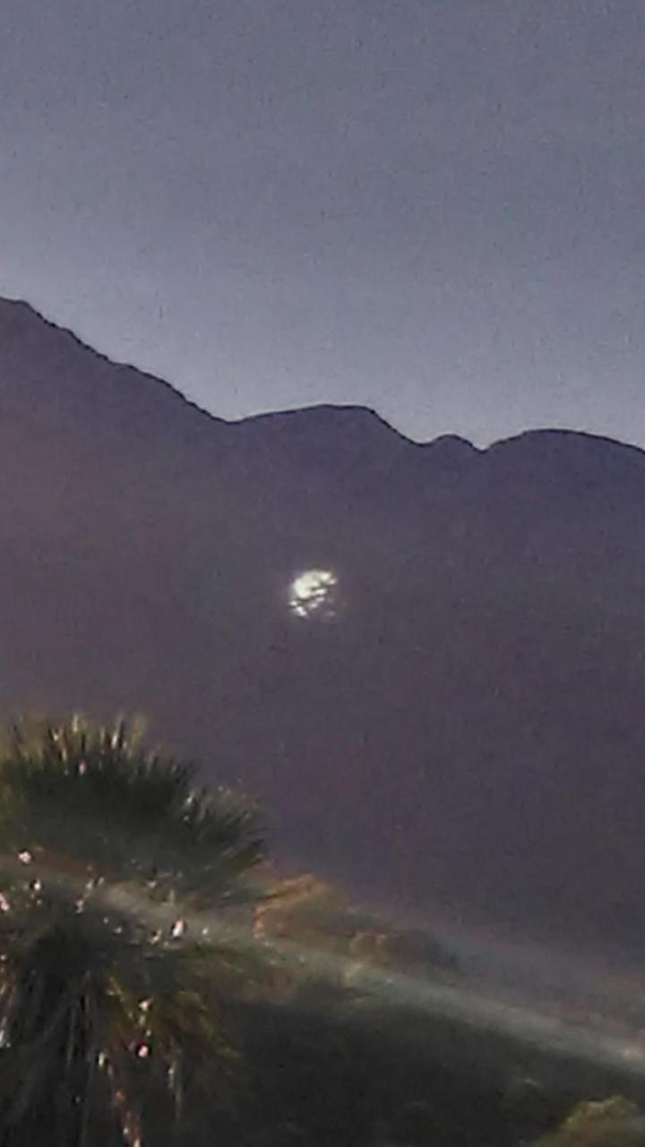 Palmares al cerro