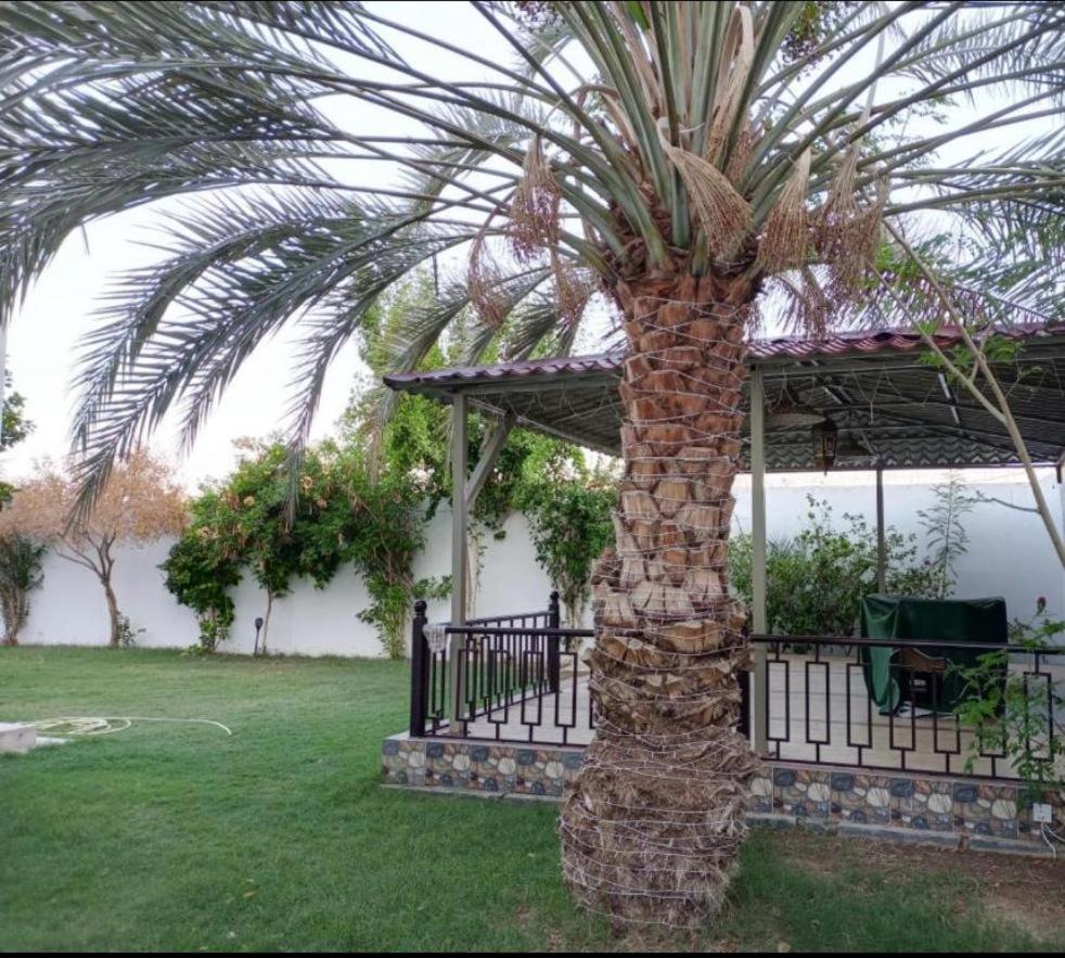Juman B&B view 5