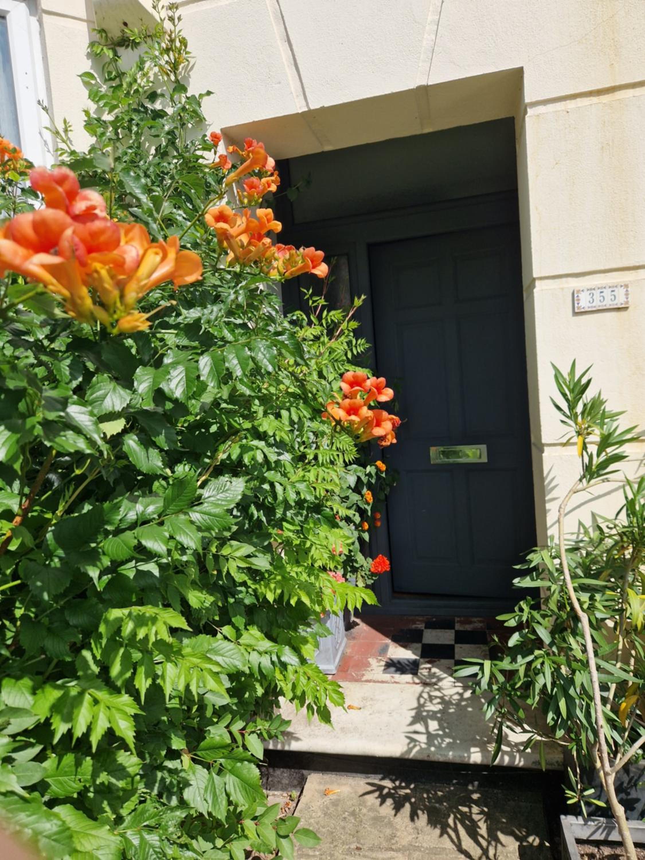 A lovely one bedroom in Hither Green lane