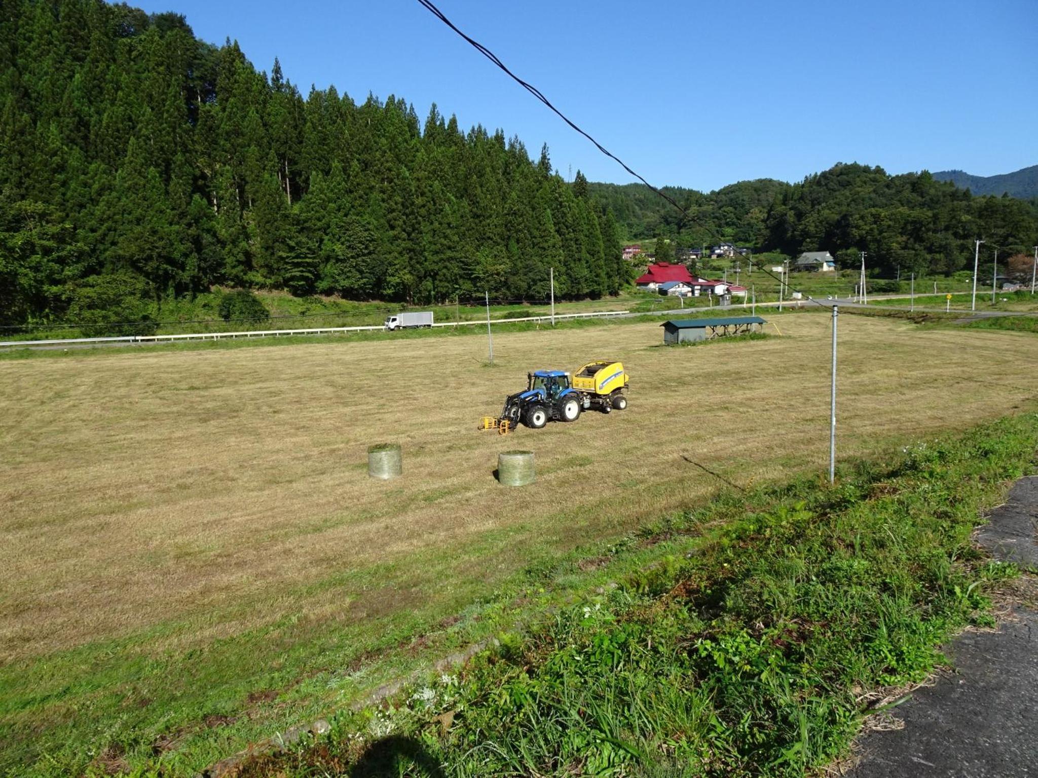 Photo 11