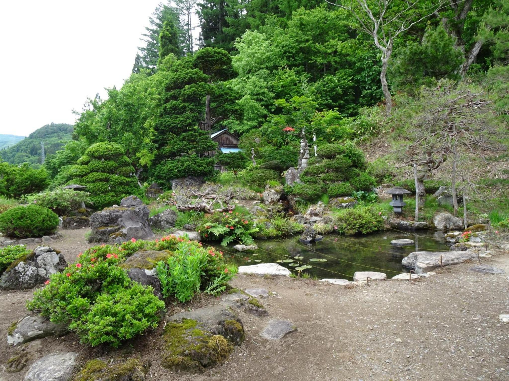 Photo 14