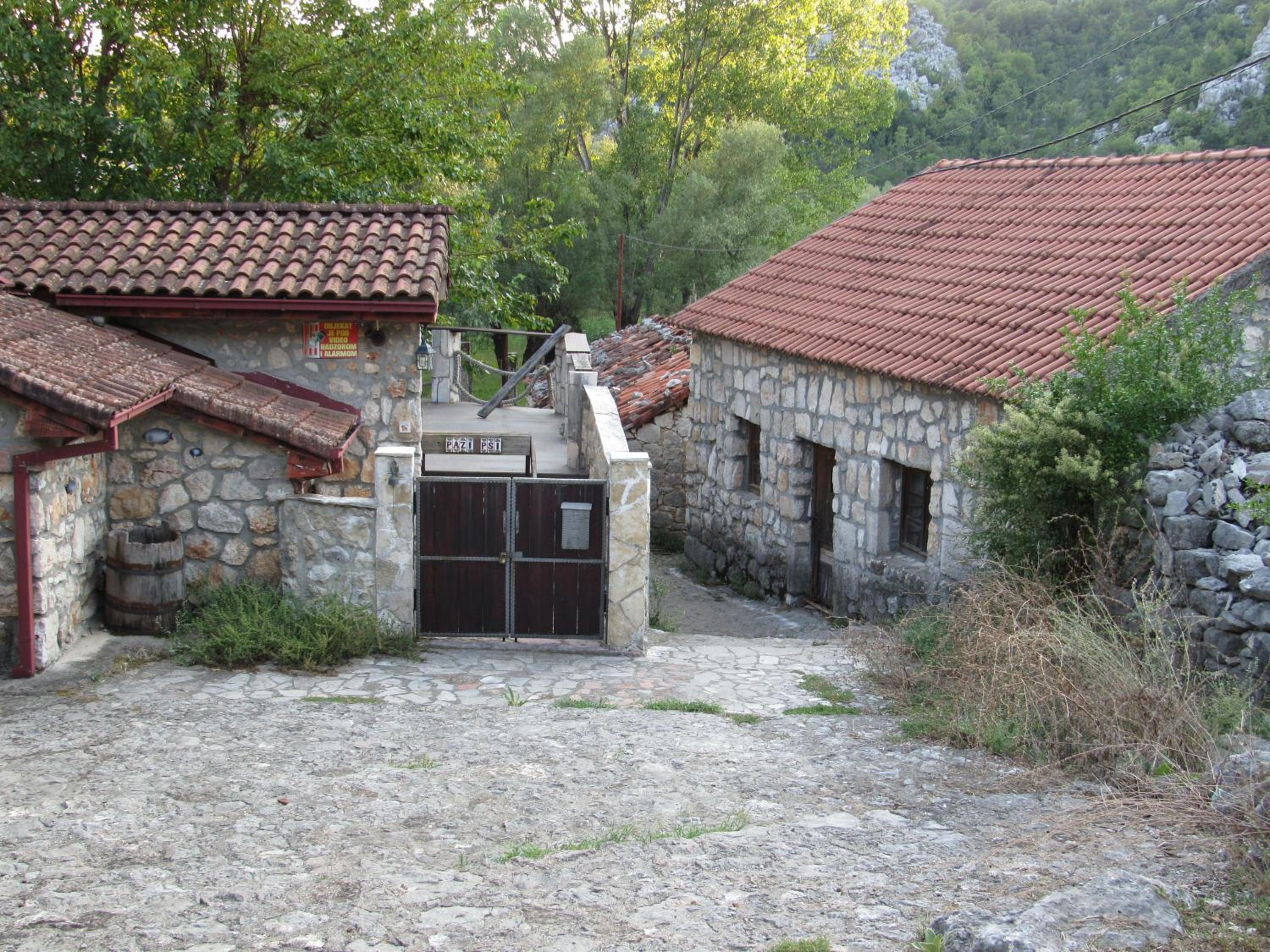 Photo 45