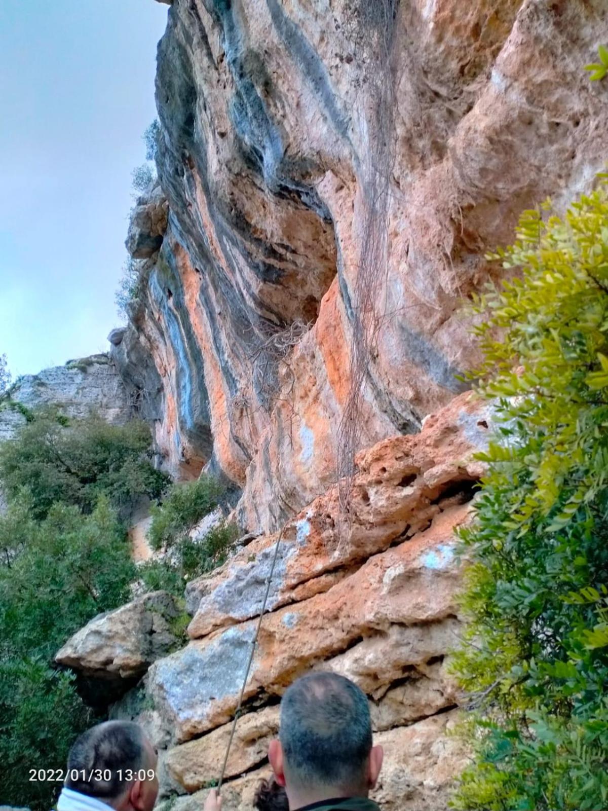 Photo 19