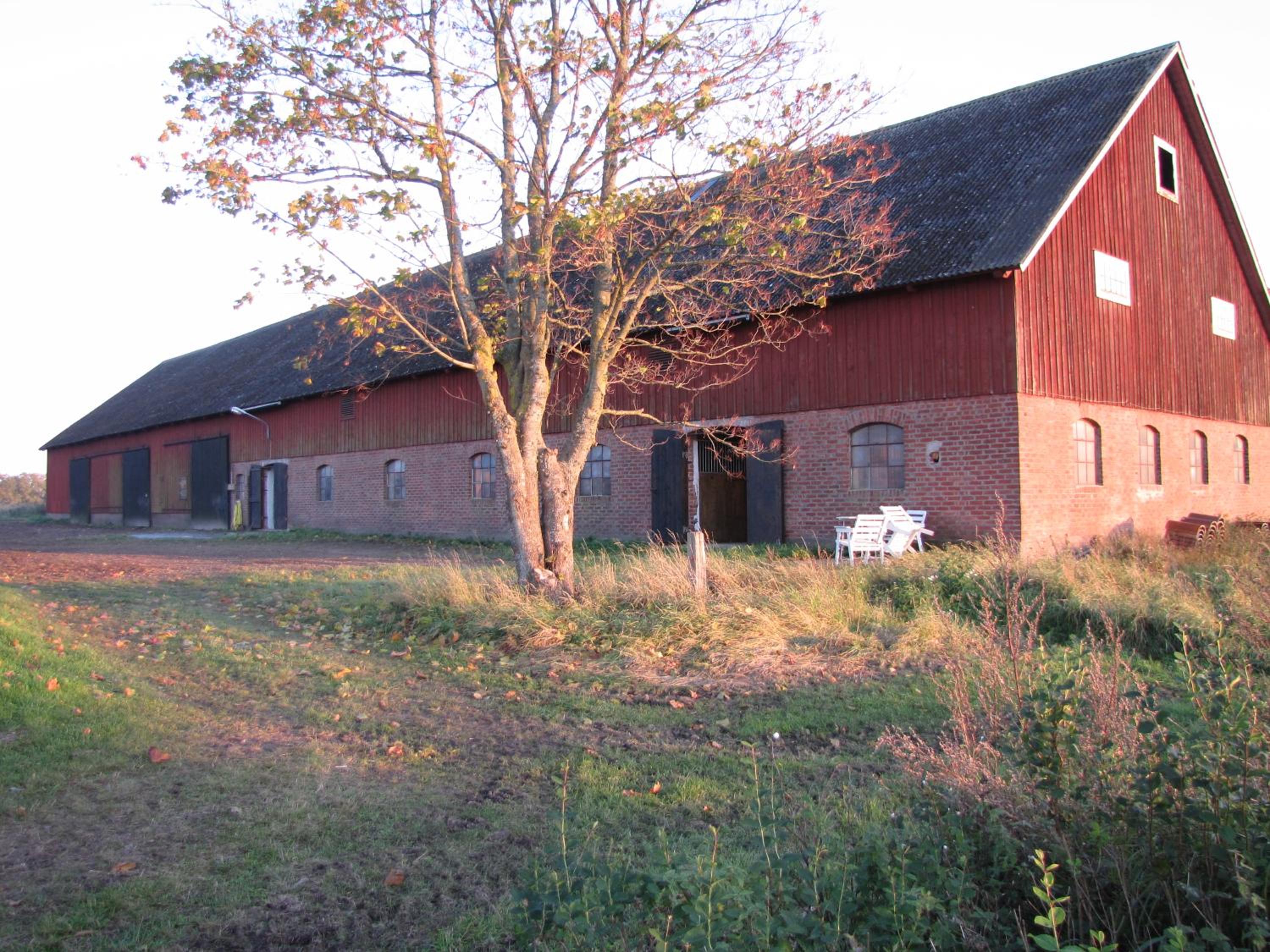Photo 11