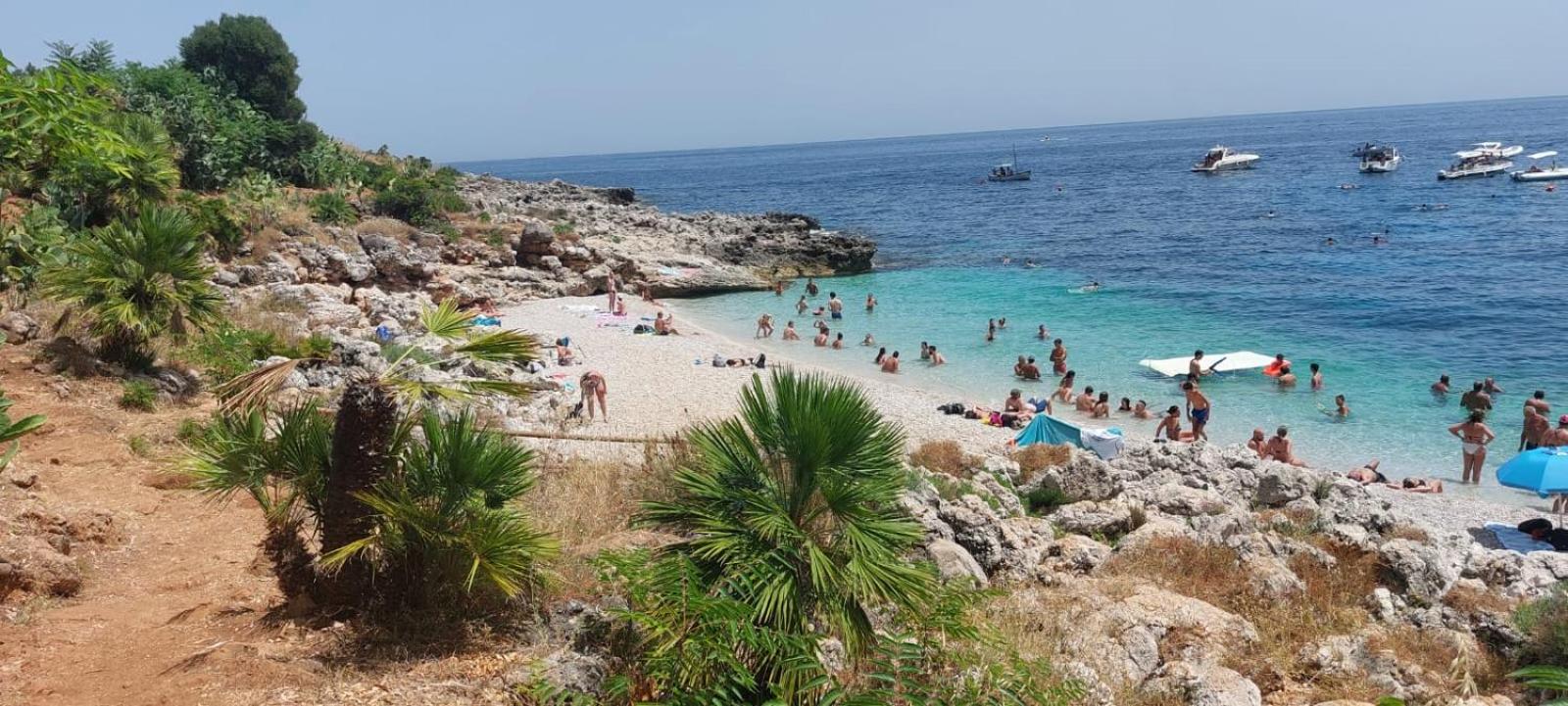 Al Mazzini39 photo 3