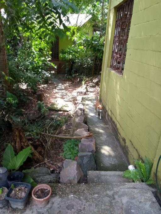 Casa do Sossêgo / Manaus