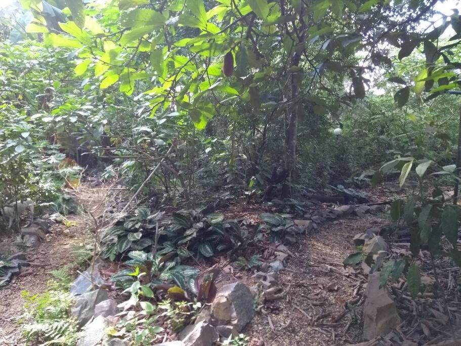 Casa do Sossêgo / Manaus
