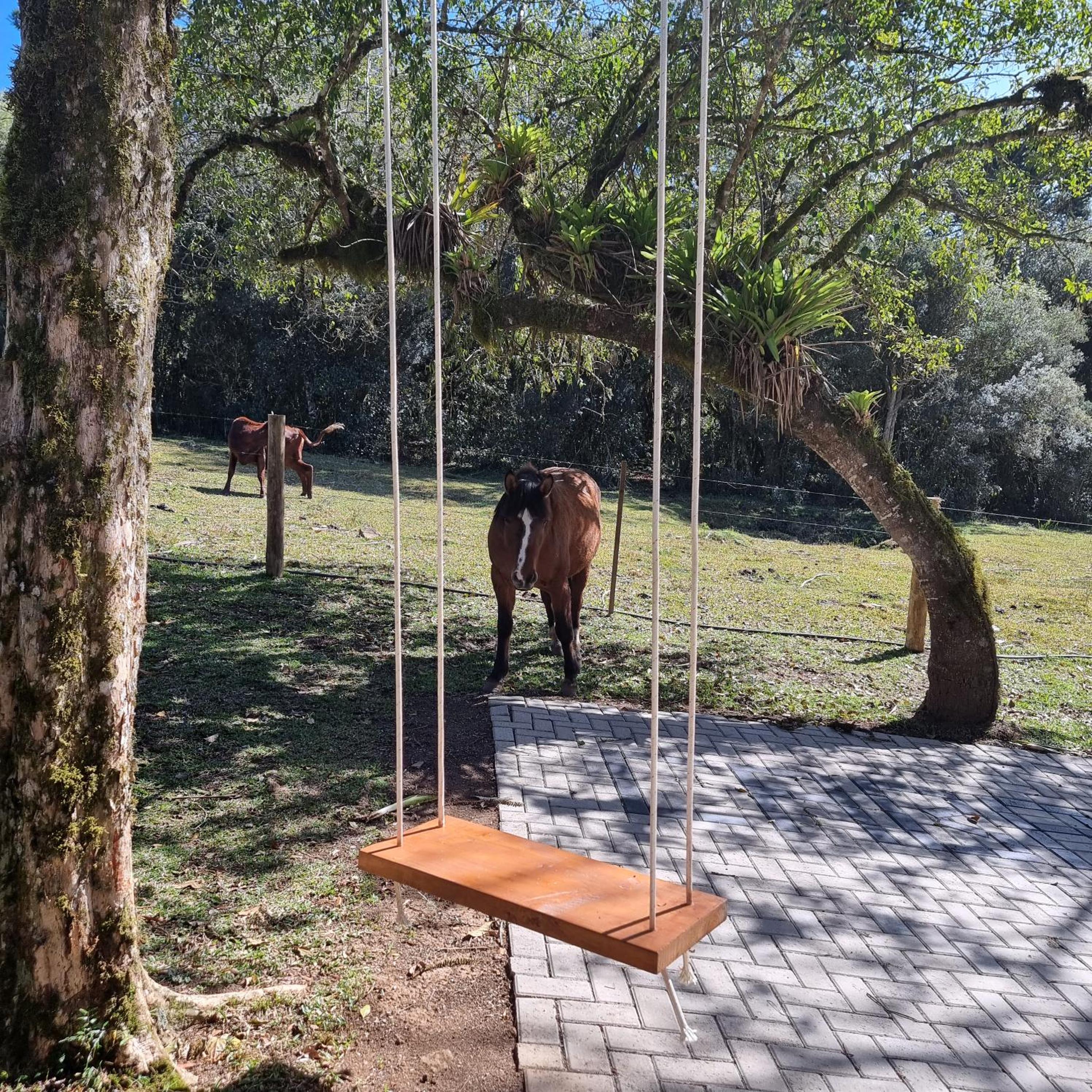 Reserva Guimarães