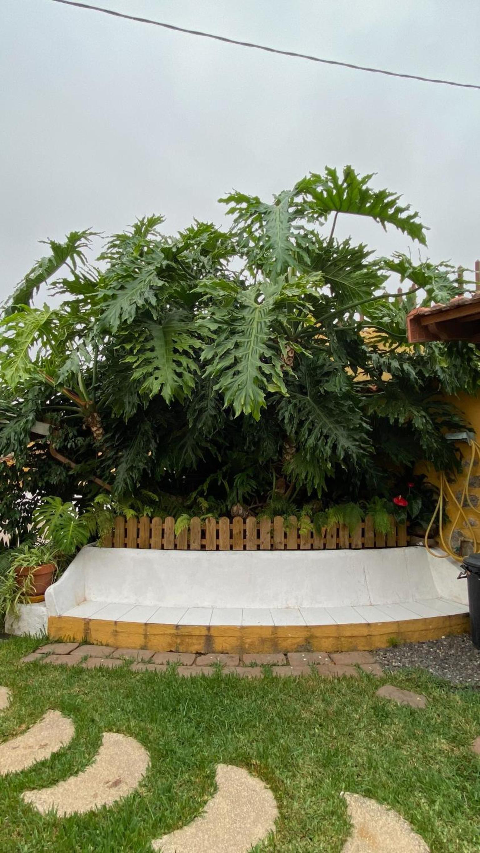 Casa Rural La Gañanía