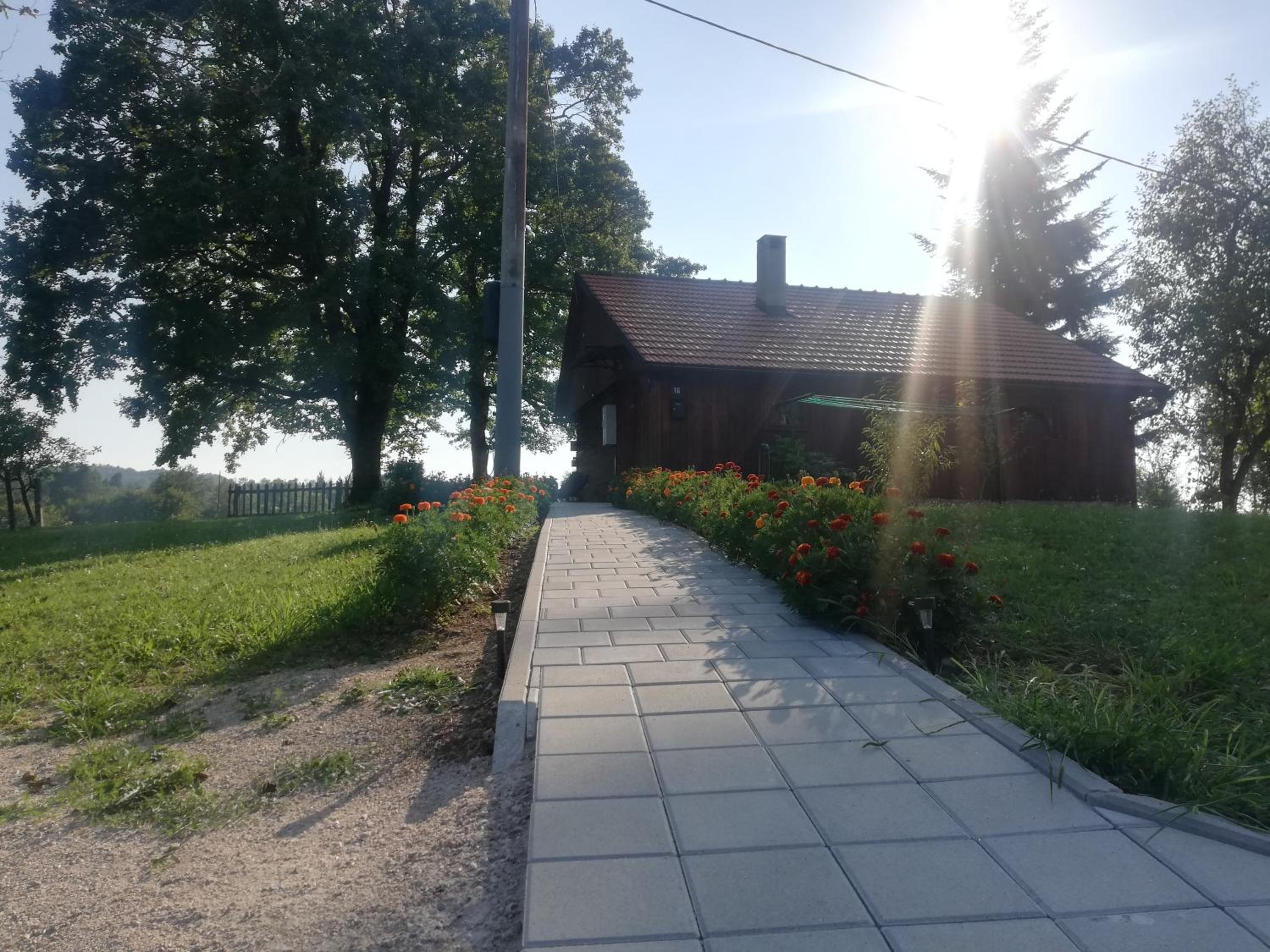 Photo 42