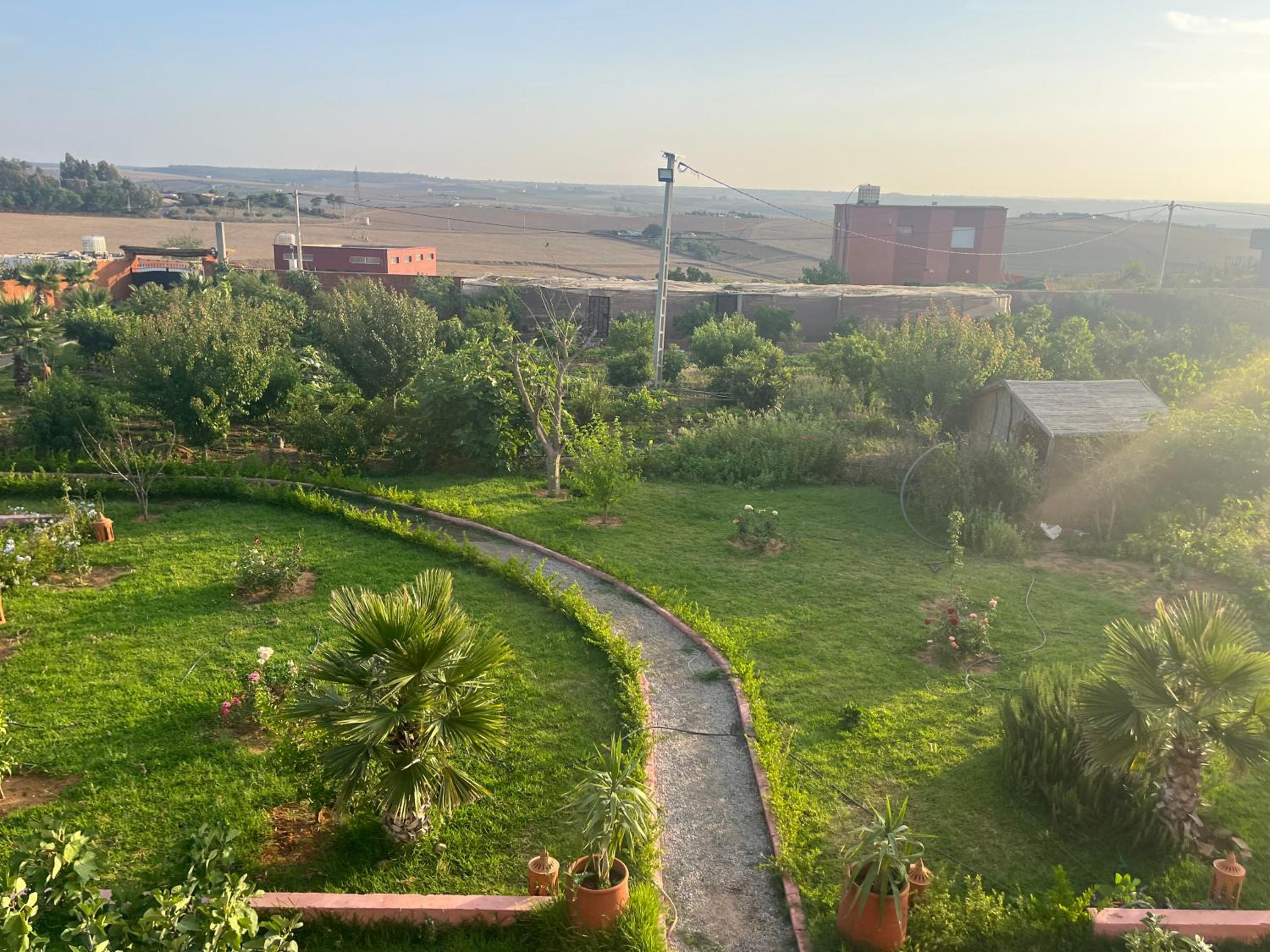 Dar Moghal