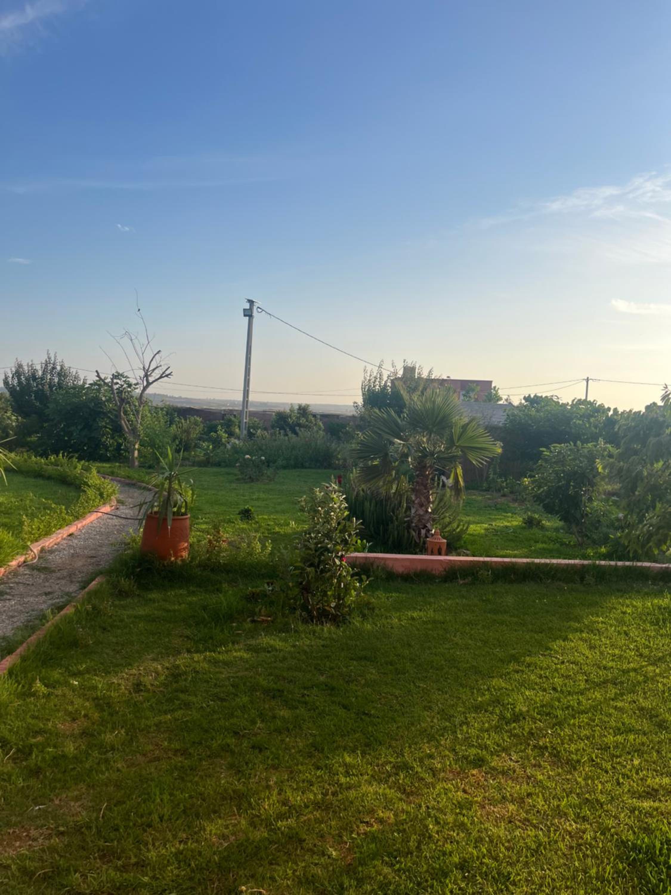 Dar Moghal