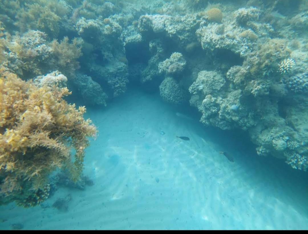 Hotel Mermaid Camp - Image 1