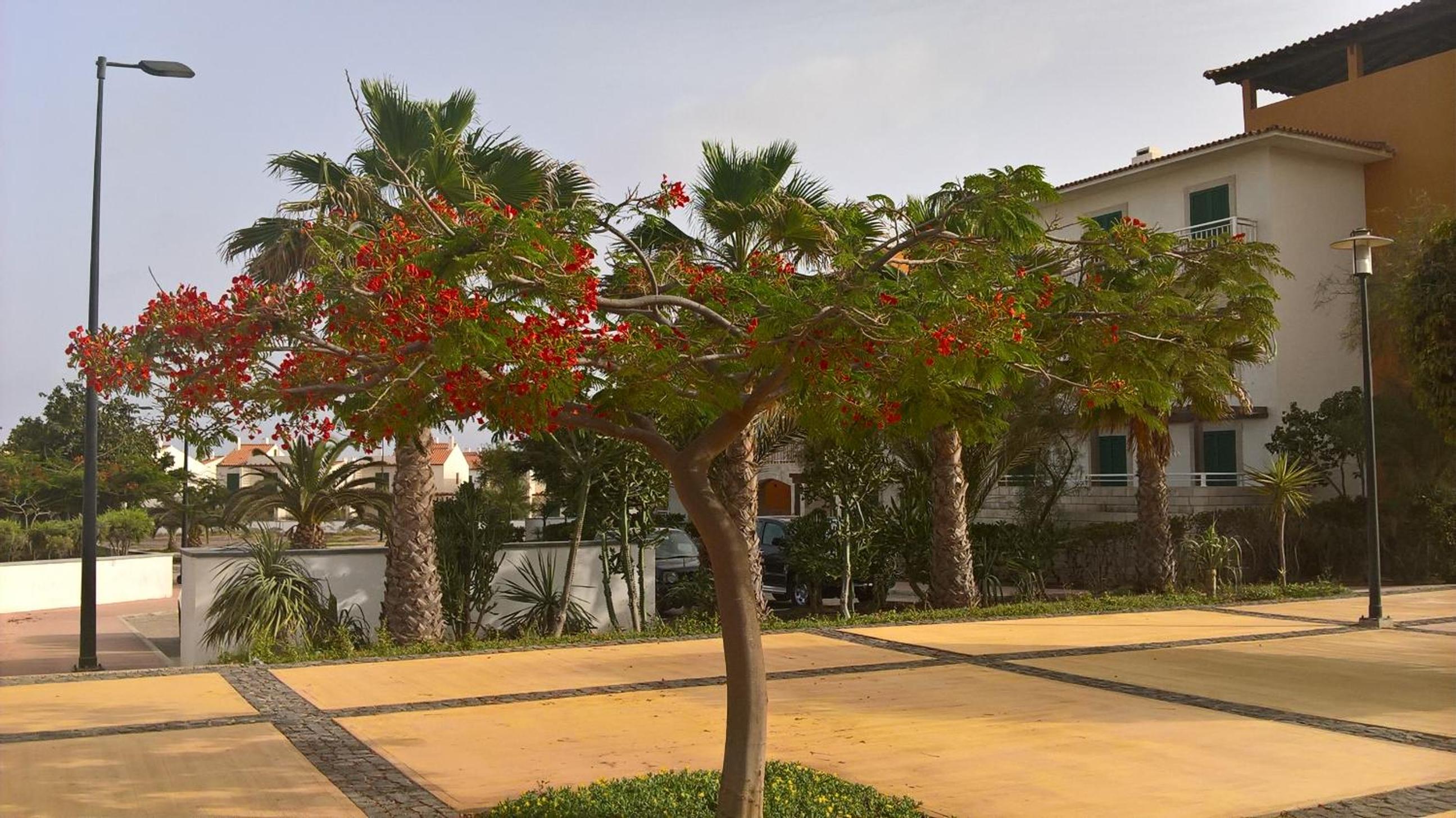 Superb large private villa with pool