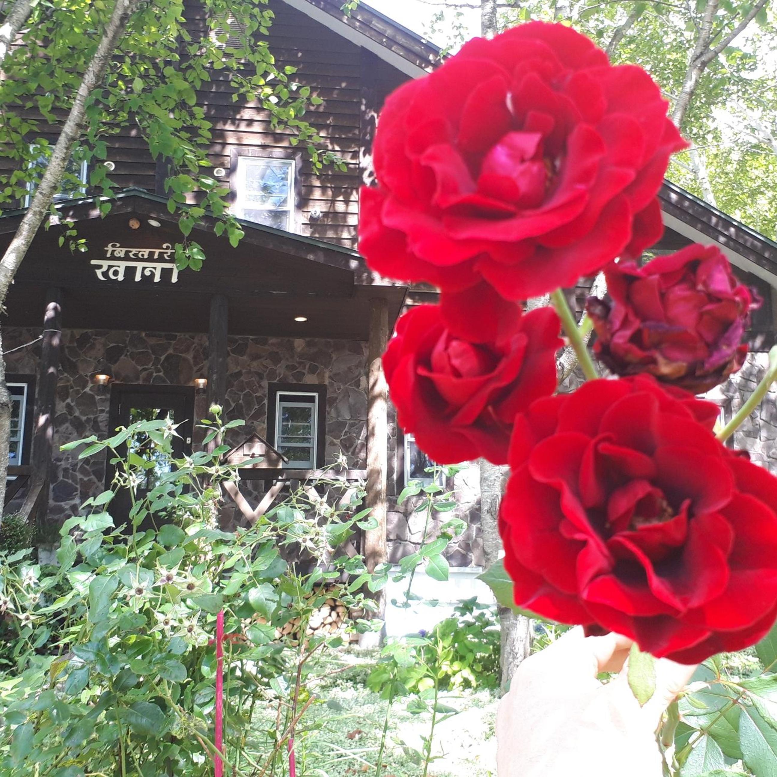 Photo 49