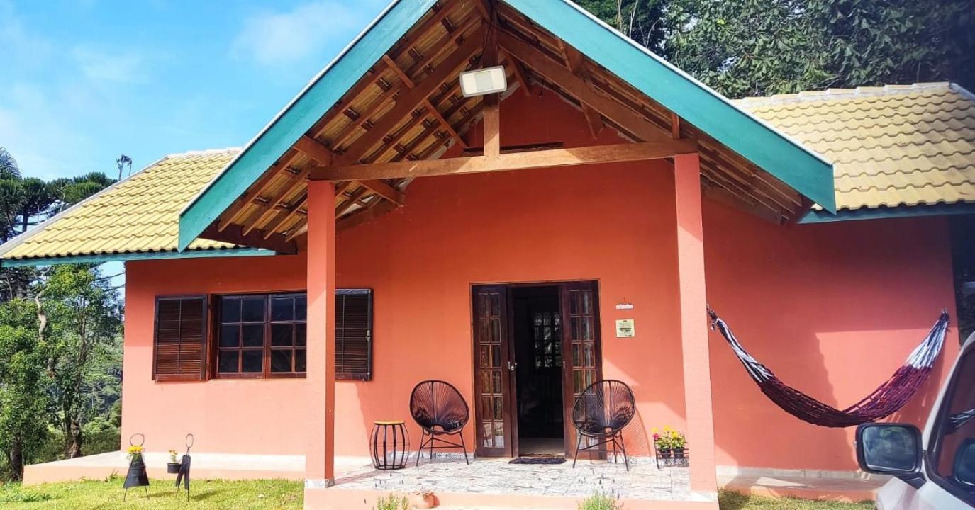 Estrela da montanha