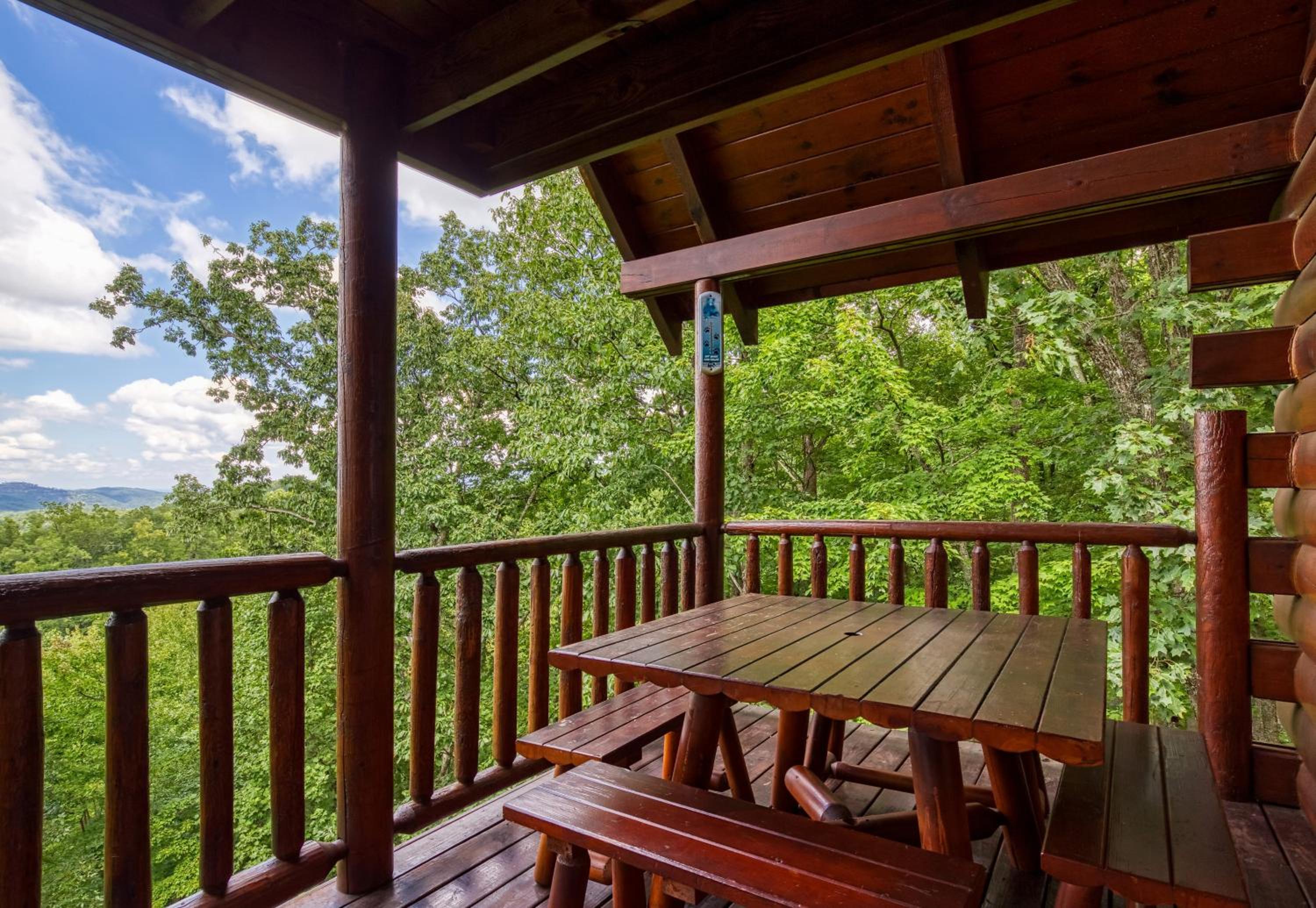 Tree Tops, Hot Tub, Pool table, WIFI, 560 FREE tickets each paid day view 5