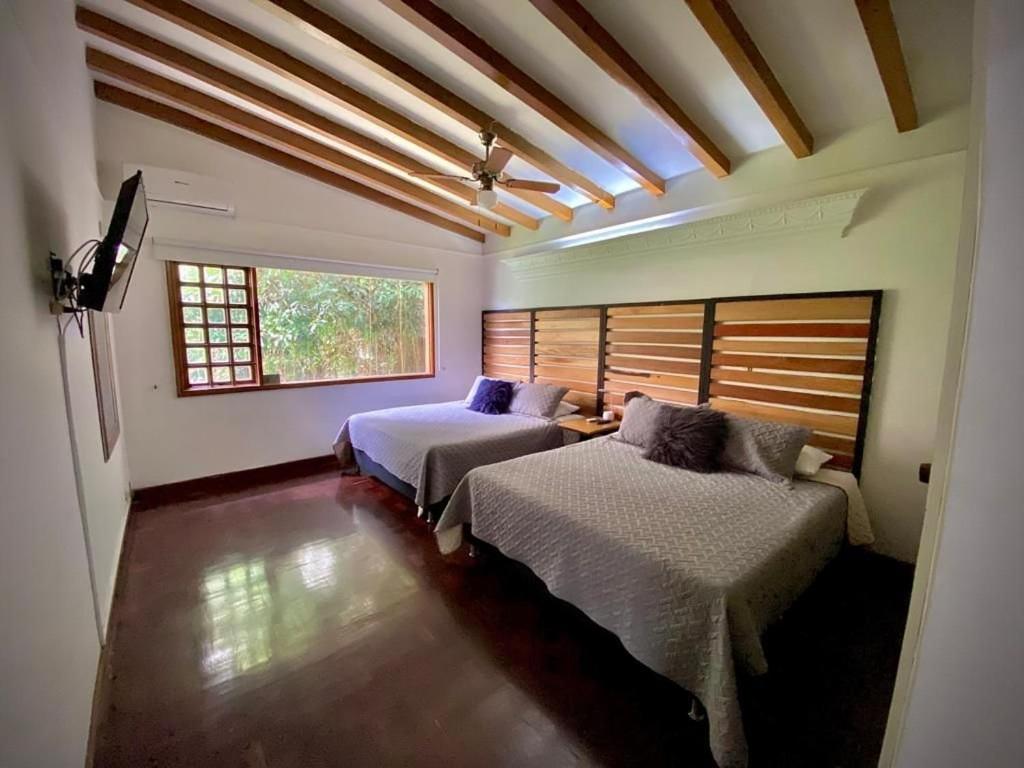 Luxury Villa In Provenza