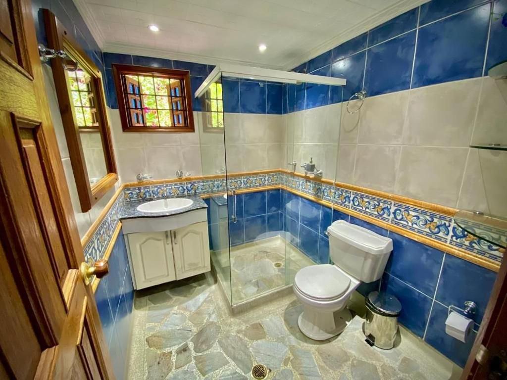 Luxury Villa In Provenza