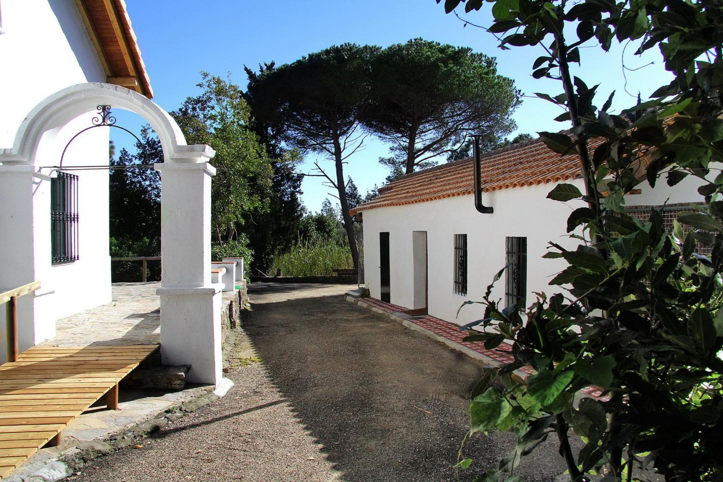 Photo 41