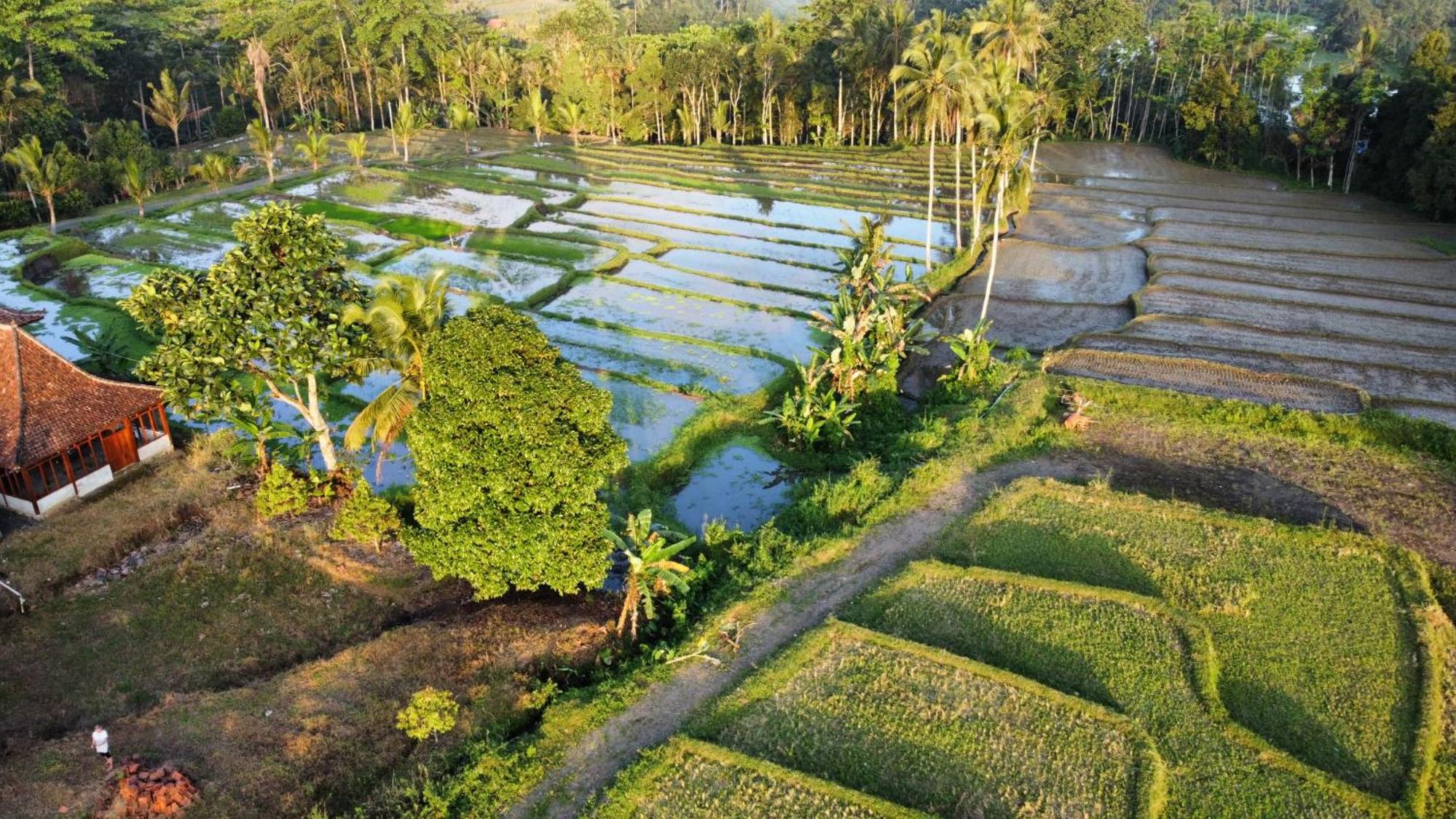 Kampoeng Joglo Ijen