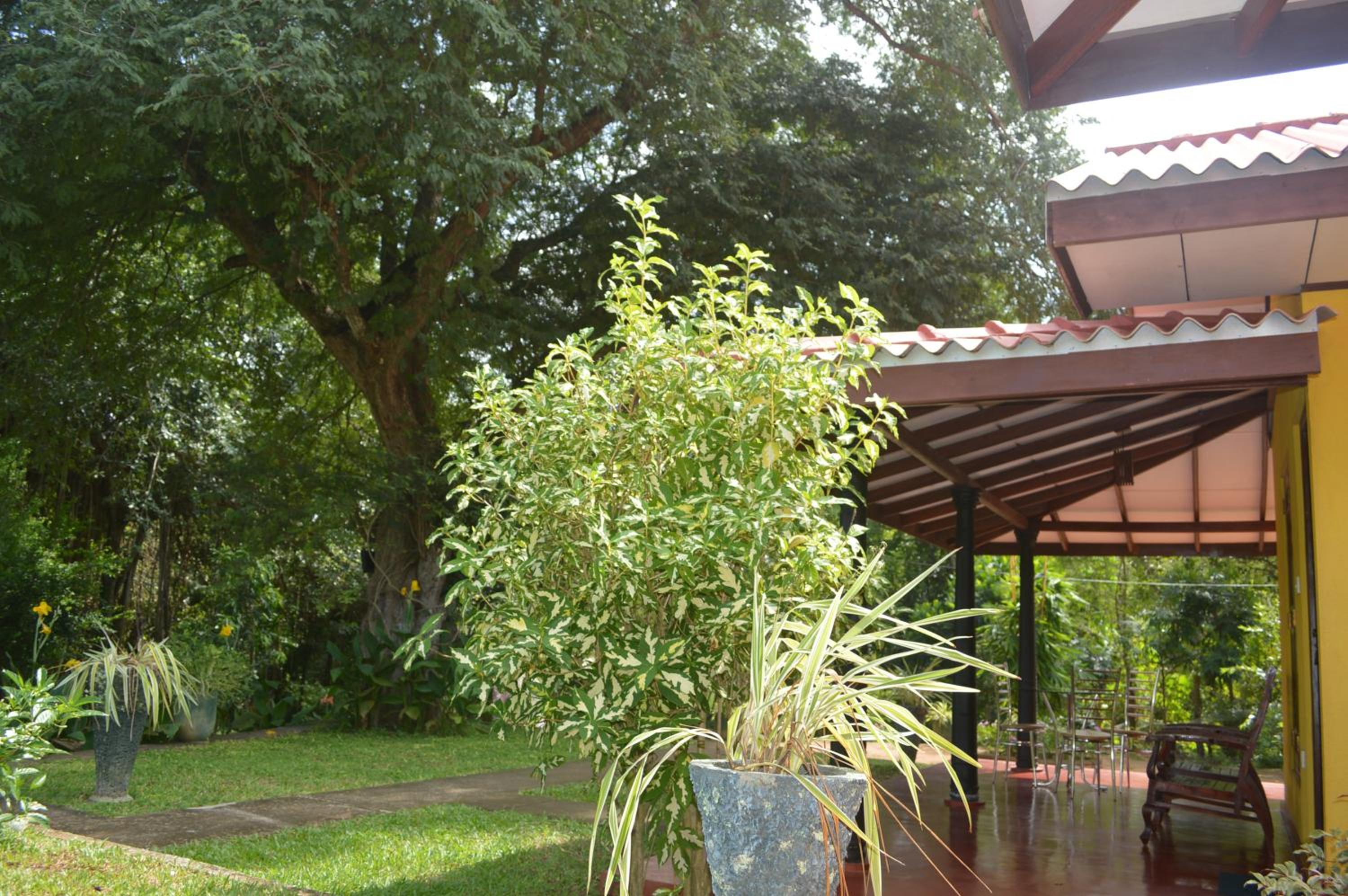 Amazon Cabanas