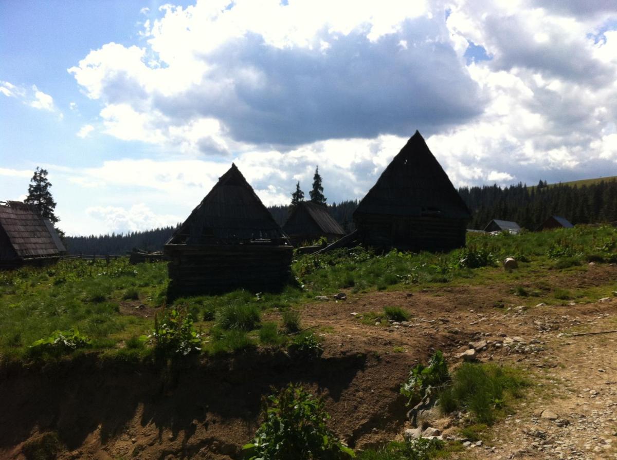 Photo 36