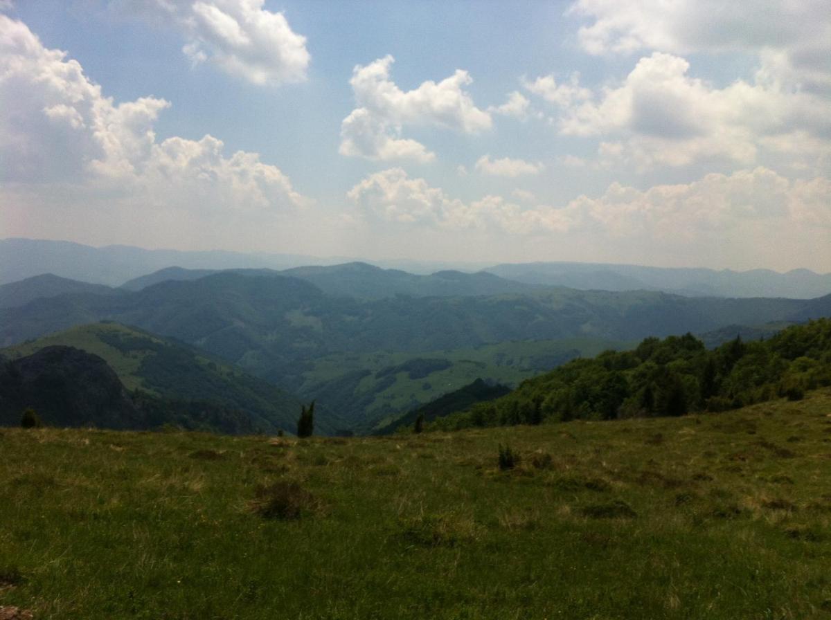 Photo 37