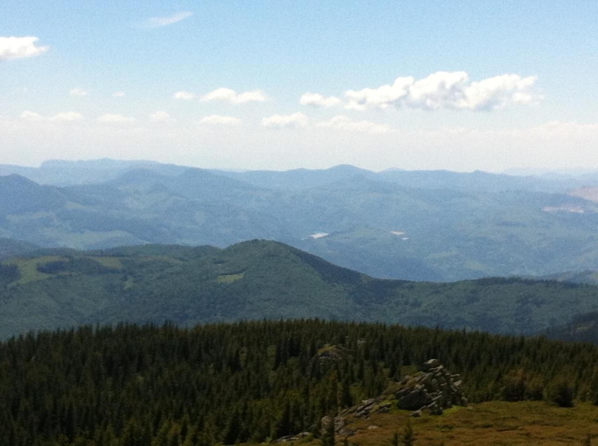 Photo 38