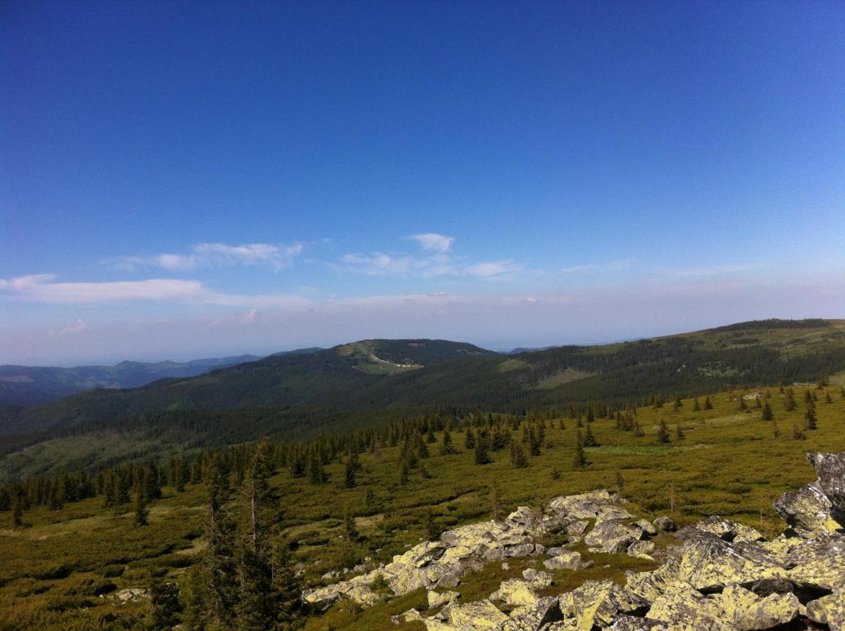 Photo 39