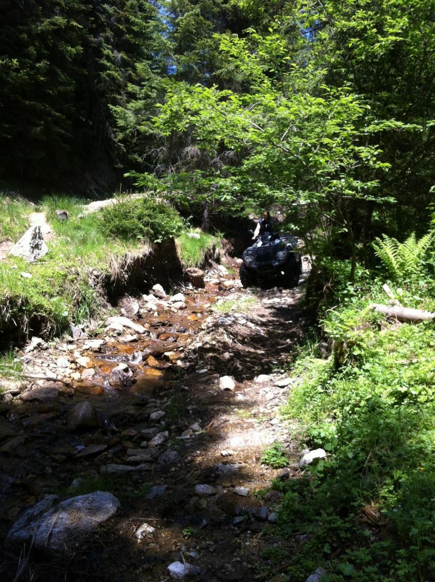 Photo 41