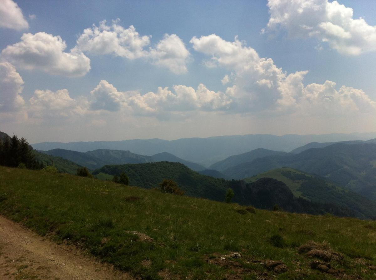 Photo 42