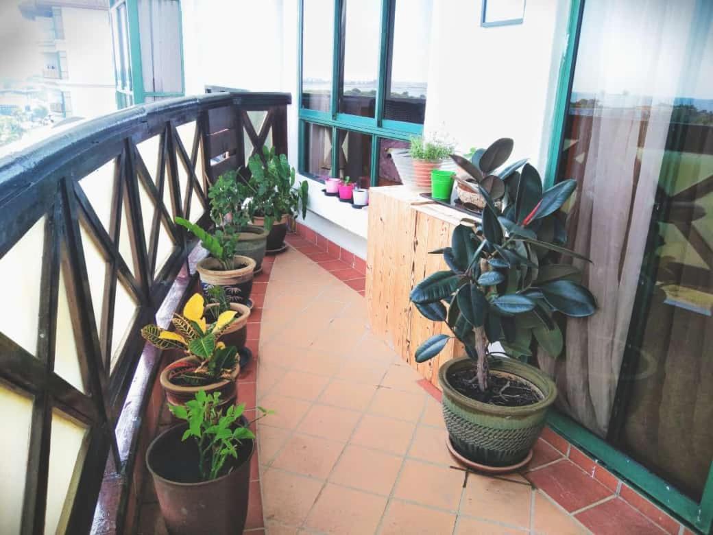 Sofea Garden photo 3
