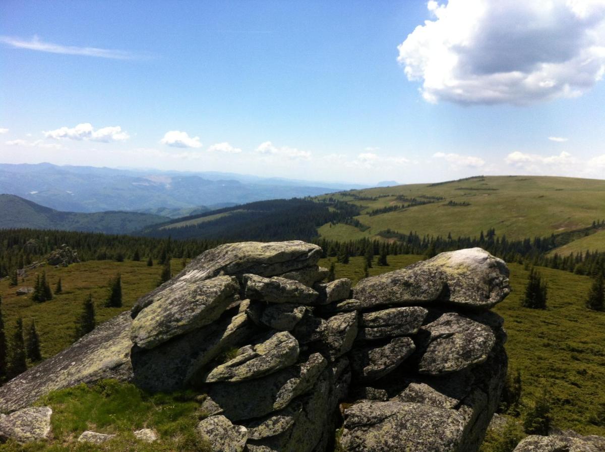 Photo 44