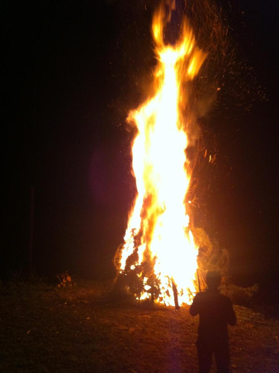 Photo 45