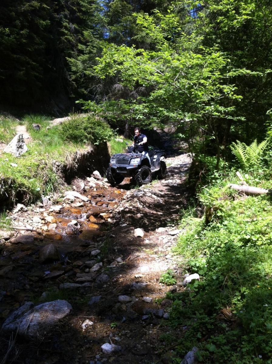 Photo 46