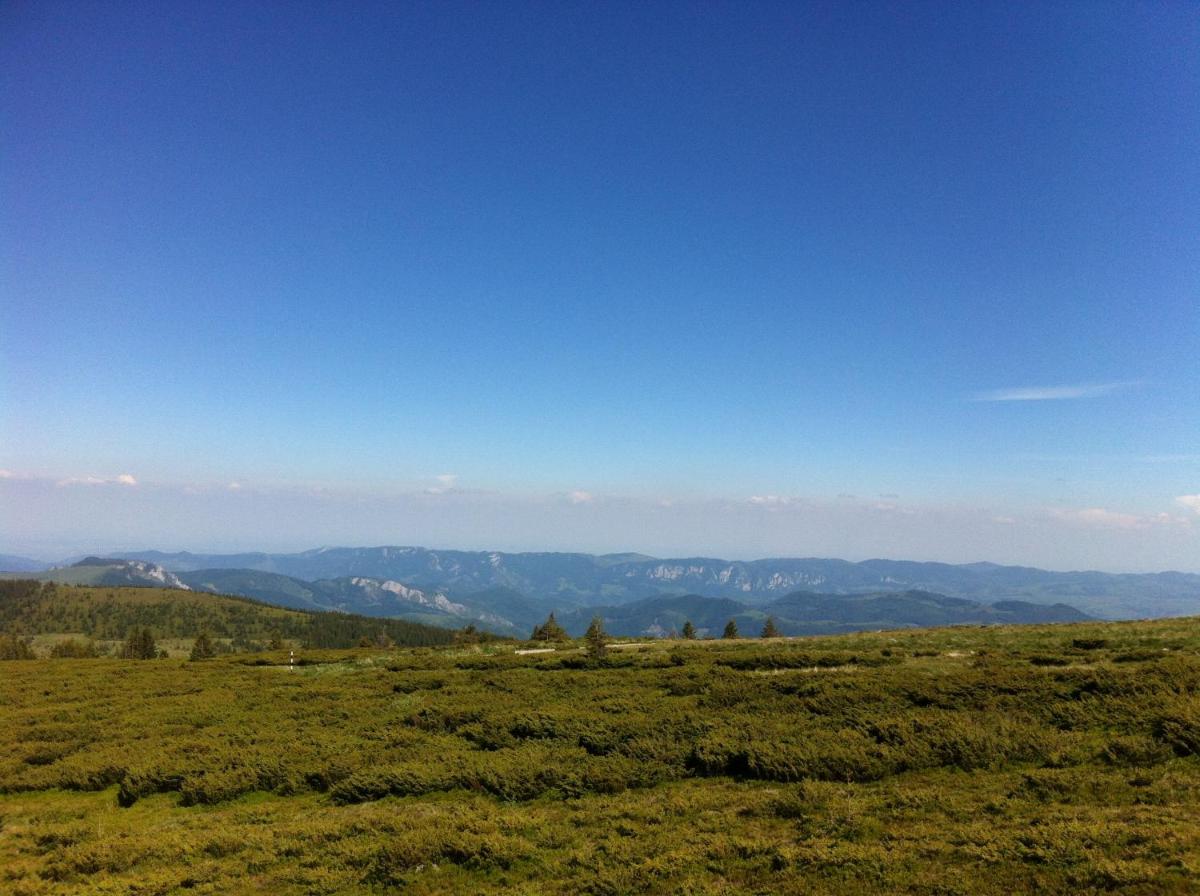 Photo 47