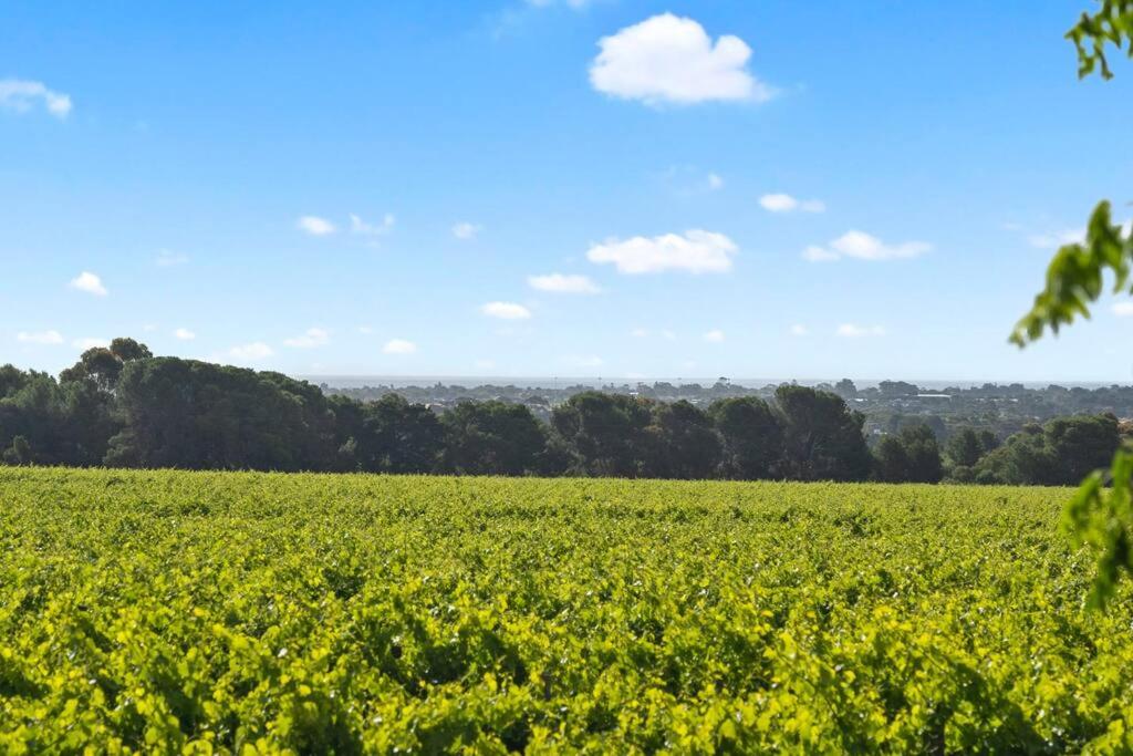 Cottage in the Vineyard - Sleeps 4, Vineyard Views