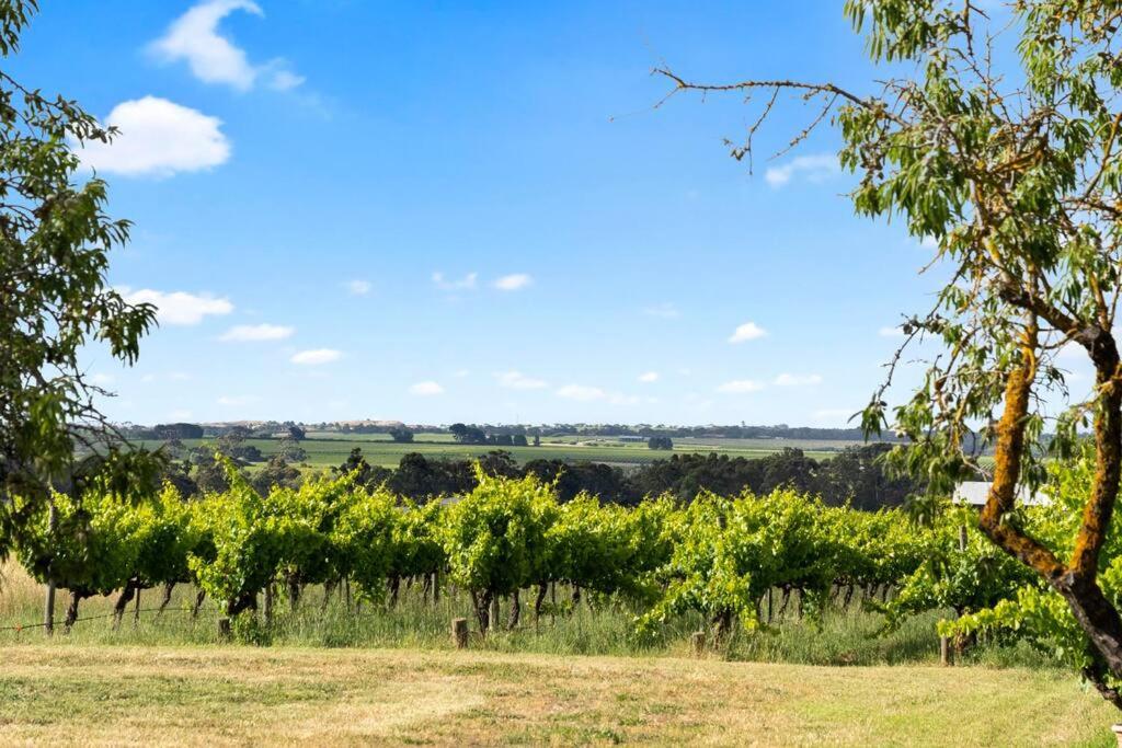 Cottage in the Vineyard - Sleeps 4, Vineyard Views