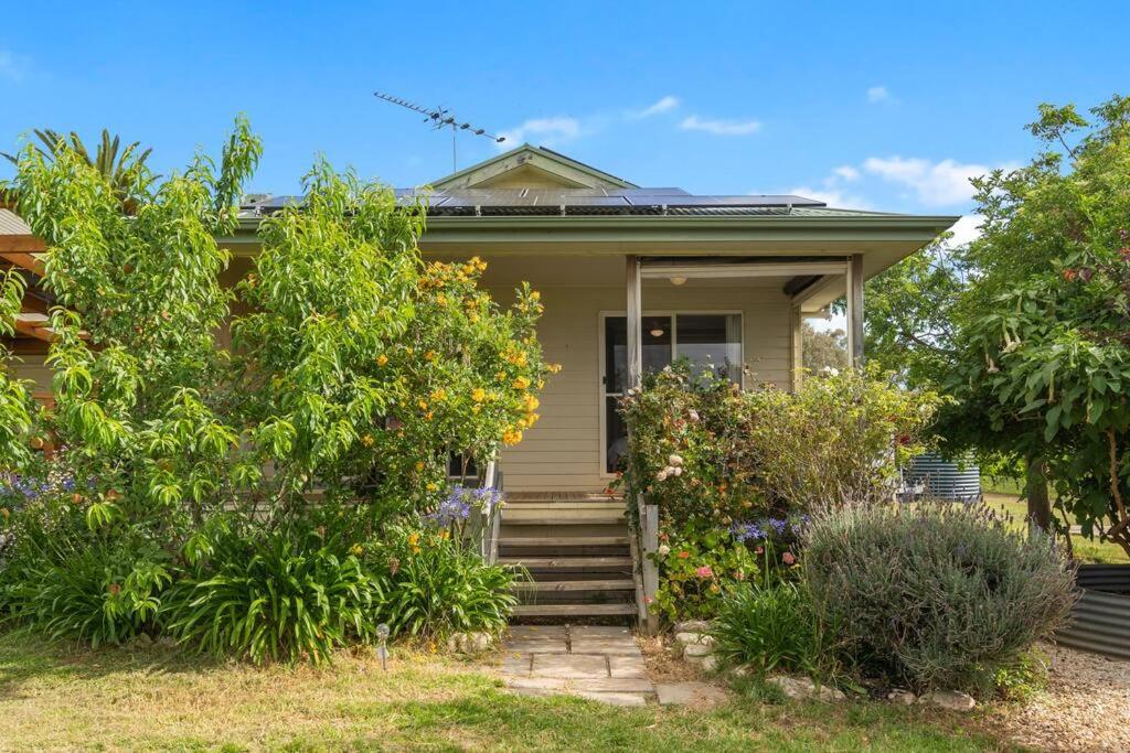 Cottage in the Vineyard - Sleeps 4, Vineyard Views