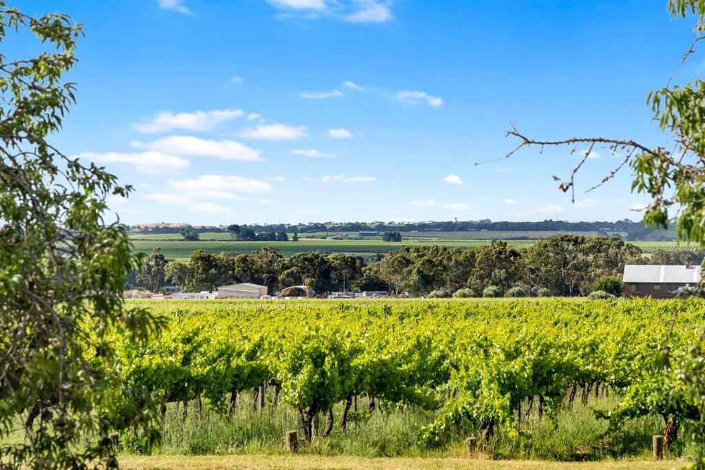 Cottage in the Vineyard - Sleeps 4, Vineyard Views
