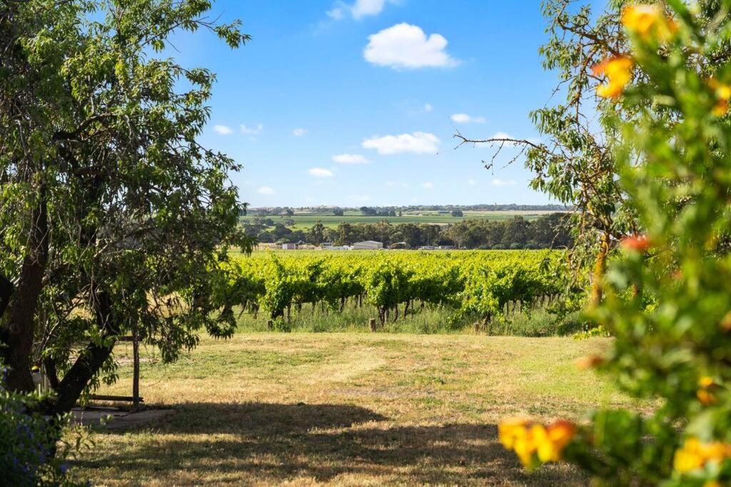 Cottage in the Vineyard - Sleeps 4, Vineyard Views